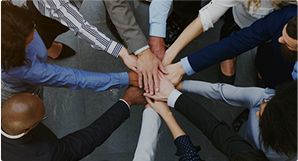 APICS Profiles in Manufacturing